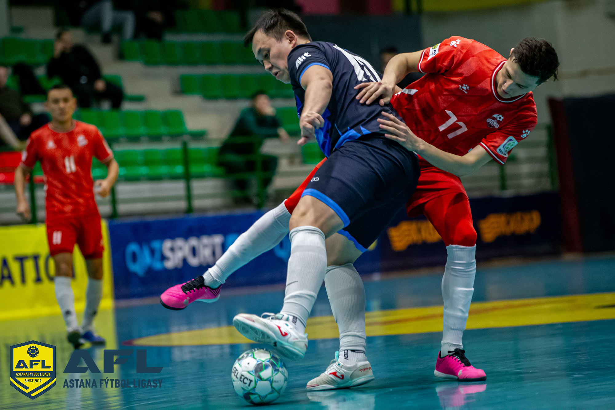 IMG 9477